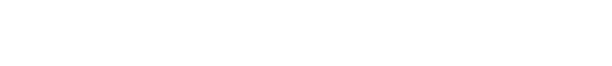 Shineray · SWM