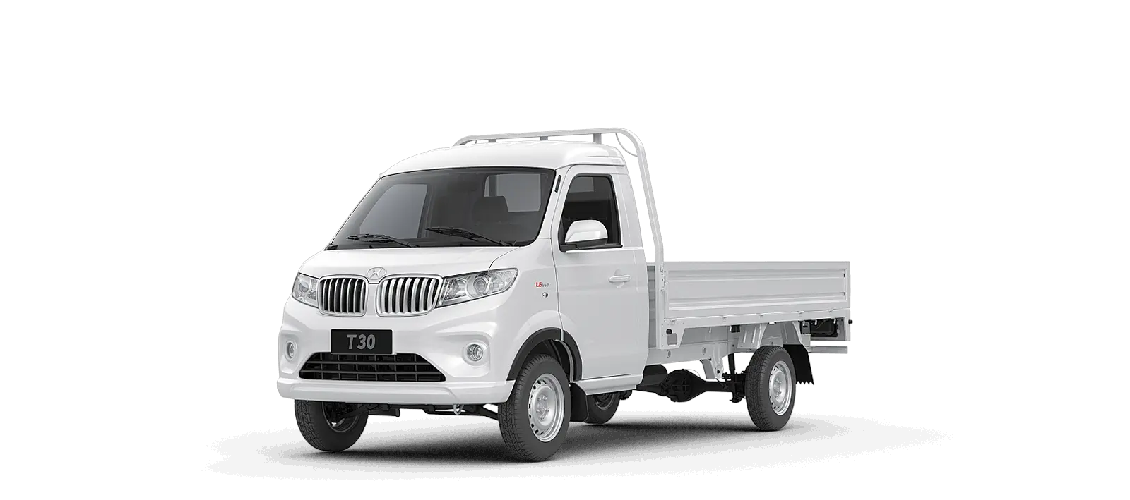 Shineray T30 Chasis Cabina — detalle 1